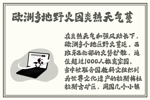 男Ji大巴进入女人的视频